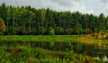 Картинка природа реки озера река лес