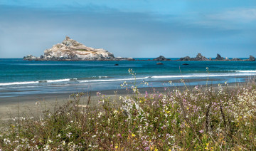 Картинка природа побережье цветы горы озеро