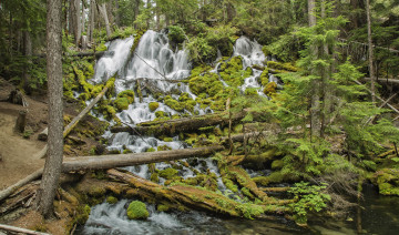Картинка природа водопады водопад река лес