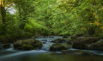 Картинка природа реки озера лес река