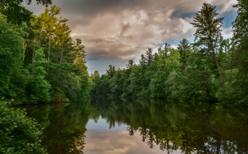 Картинка природа реки озера река лес