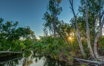 Картинка природа восходы закаты река лес