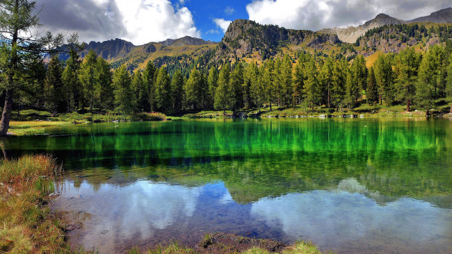 Обои картинки фото природа, реки, озера, лес, река