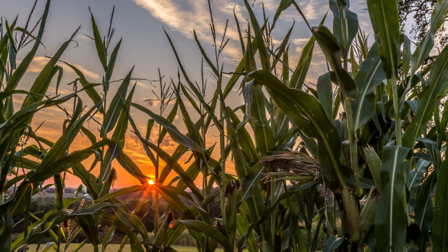 Обои картинки фото природа, восходы, закаты, рассвет