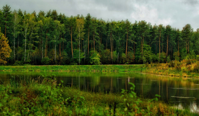 Обои картинки фото природа, реки, озера, река, лес