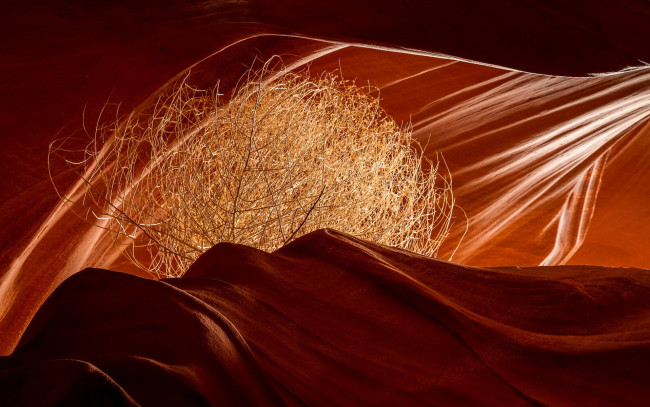 Обои картинки фото природа, горы, antelope, canyon, цвет