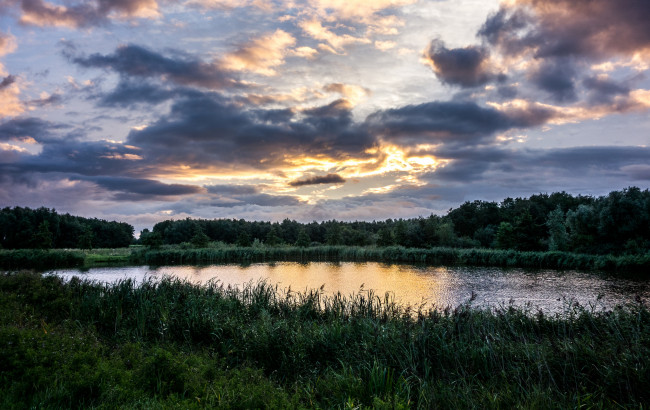 Обои картинки фото природа, реки, озера, река, лес