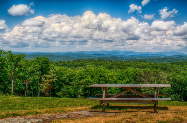 Обои картинки фото природа, пейзажи, скамейка, леса, равнина