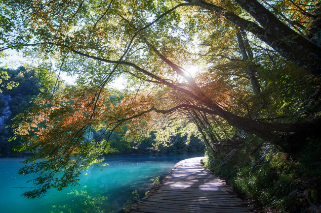 Обои картинки фото природа, восходы, закаты, солнечно, мост, озеро, дерево