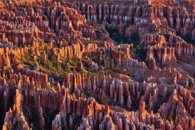 Обои картинки фото природа, горы, bryce, canyon, national, park, сша, юта, деревья, скалы