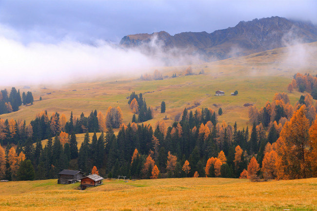 Обои картинки фото природа, лес, осень, дом