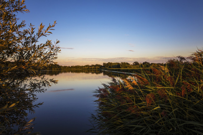 Обои картинки фото природа, реки, озера, лес, река