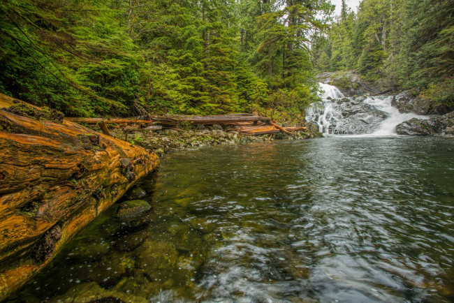 Обои картинки фото природа, реки, озера, лес, река