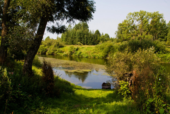 Обои картинки фото природа, реки, озера, река, лес