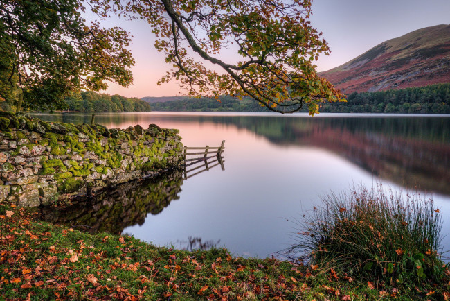 Обои картинки фото природа, реки, озера, река, лес