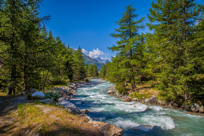 Обои картинки фото природа, реки, озера, река, лес