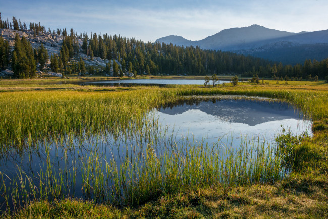 Обои картинки фото природа, реки, озера, река, лес, горы