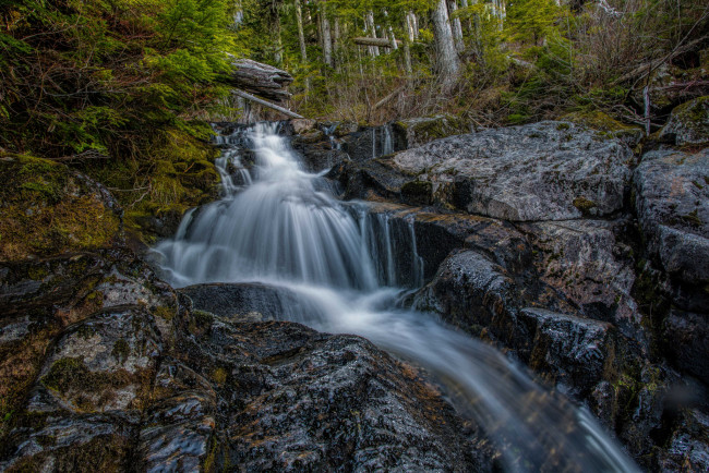 Обои картинки фото природа, водопады, водопад, река, лес