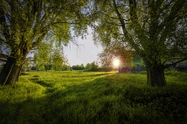 Обои картинки фото природа, восходы, закаты, рассвет