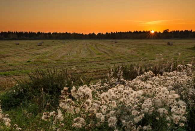 Обои картинки фото природа, восходы, закаты, закат