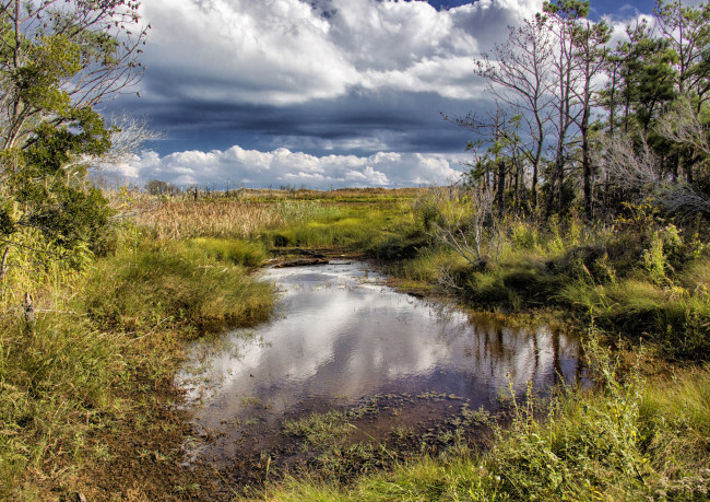 Обои картинки фото природа, другое, лужа, лес, поле