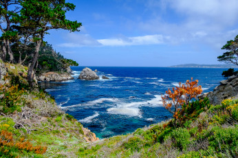 Картинка природа побережье берег море