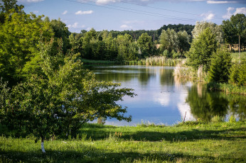 Картинка природа реки озера лес река