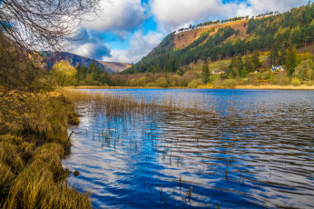 Картинка природа реки озера река лес