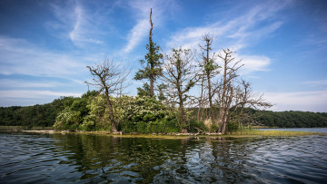 Картинка природа реки озера река лес