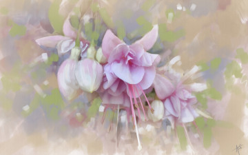 Картинка рисованное цветы текстура фуксия бутончики