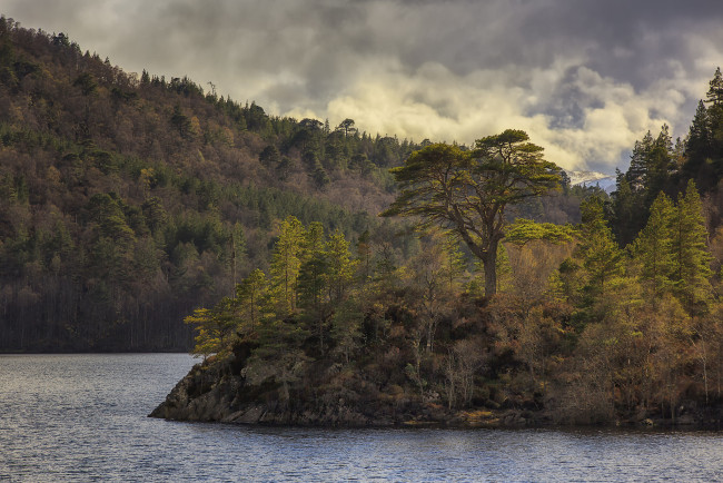 Обои картинки фото природа, реки, озера, лес, река