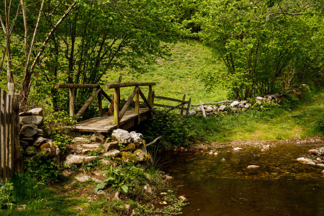 Обои картинки фото природа, реки, озера, река, лес