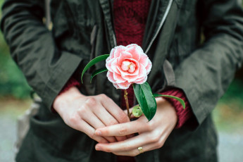 Картинка разное руки камелия