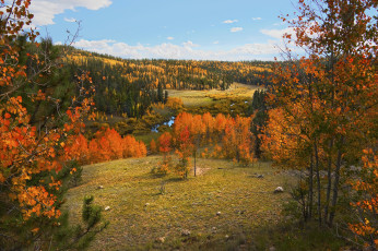 Картинка природа пейзажи простор