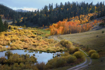 Картинка природа реки озера простор