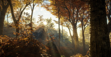 Картинка видео+игры the+hunter the hunter