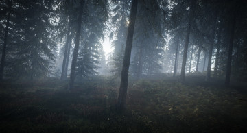 Картинка видео+игры the+hunter the hunter