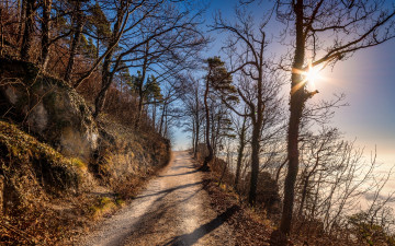 Картинка природа дороги дорога утро