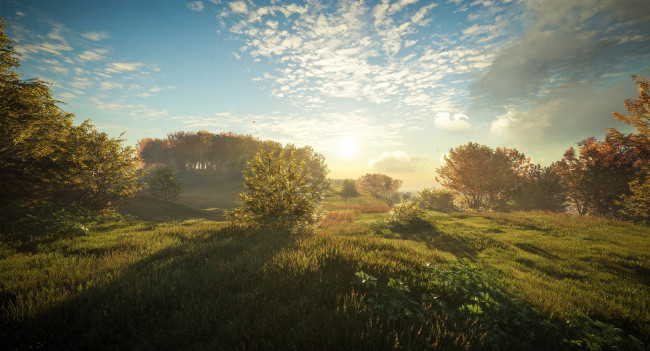 Обои картинки фото видео игры, the hunter, the, hunter