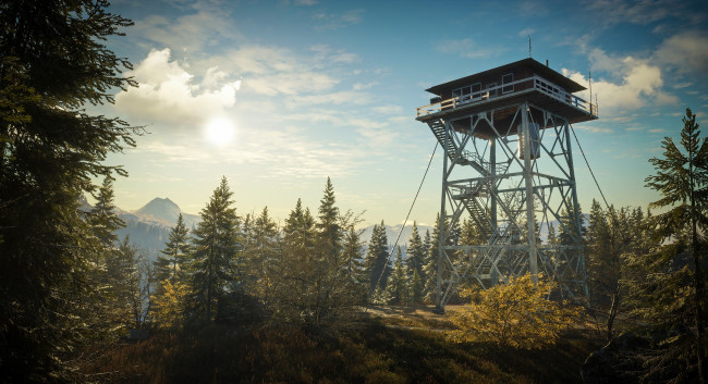 Обои картинки фото видео игры, the hunter, the, hunter