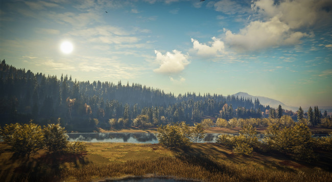 Обои картинки фото видео игры, the hunter, the, hunter