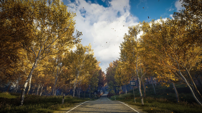 Обои картинки фото видео игры, the hunter, the, hunter