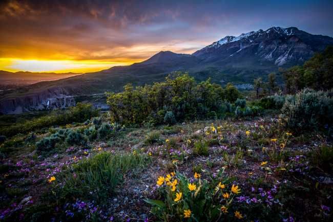 Обои картинки фото природа, луга, простор