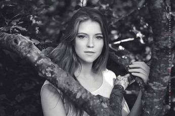 Картинка календари компьютерный+дизайн девушка взгляд женщина calendar 2019 дерево