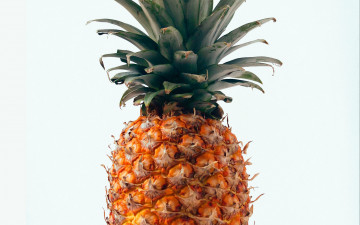 Картинка еда ананас фрукт