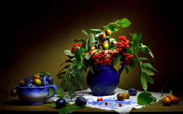 Картинка еда натюрморт рябина сливы