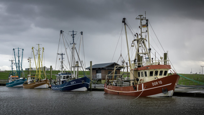 Обои картинки фото корабли, траулеры,  сейнеры,  плавбазы, рыболов