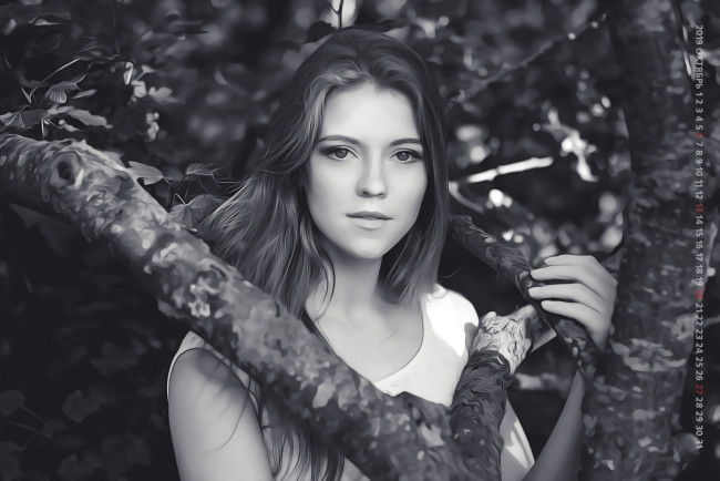 Обои картинки фото календари, компьютерный дизайн, девушка, взгляд, женщина, calendar, 2019, дерево