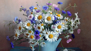 Картинка цветы букеты +композиции ромашки васильки