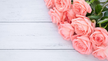 Картинка цветы розы розовый